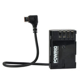 DJIronin RS2 to BLF19 GH5s GH5 GH4 power cable